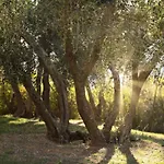 Podere San Giuseppe Apartment *